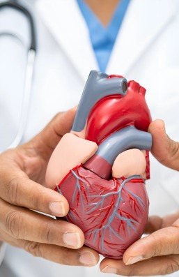 WhatsApp Image 2025-08-21 at 6.38.41 PM