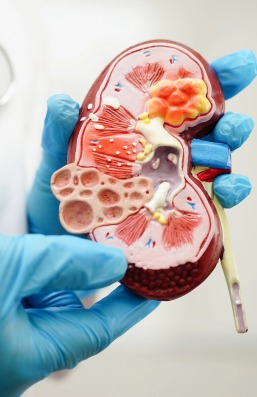 WhatsApp Image 2025-08-21 at 6.39.02 PM