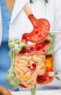 WhatsApp Image 2025-08-21 at 6.58.59 PM (1)